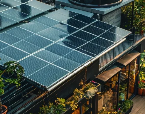 Smart Sustainability