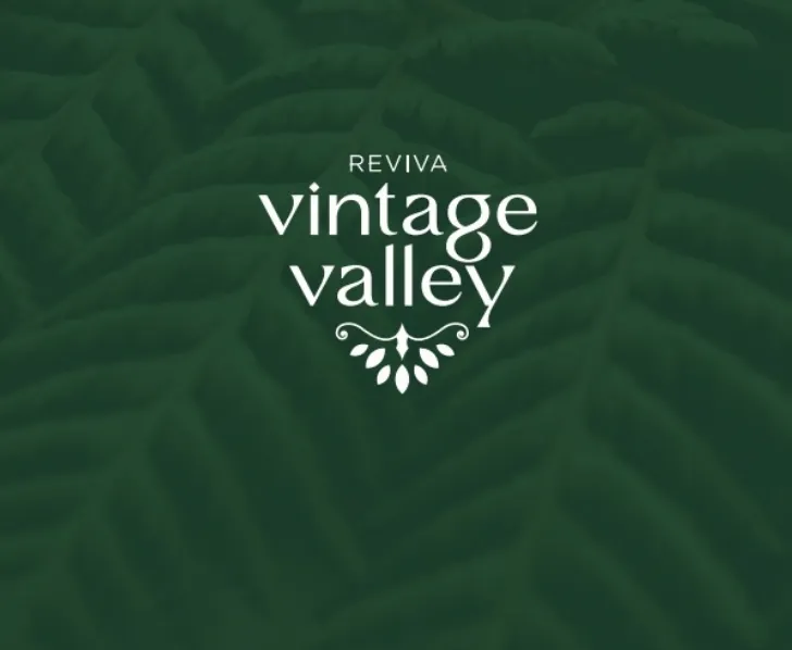 reviva vintage valley